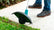 Lithium-Ion grass trimmer (Tool Only)